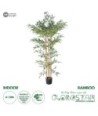 GloboStar® Artificial Garden BAMBOO 20036 Τεχνητό Διακοσμητικό Φυτό Μπαμπού Υ190cm